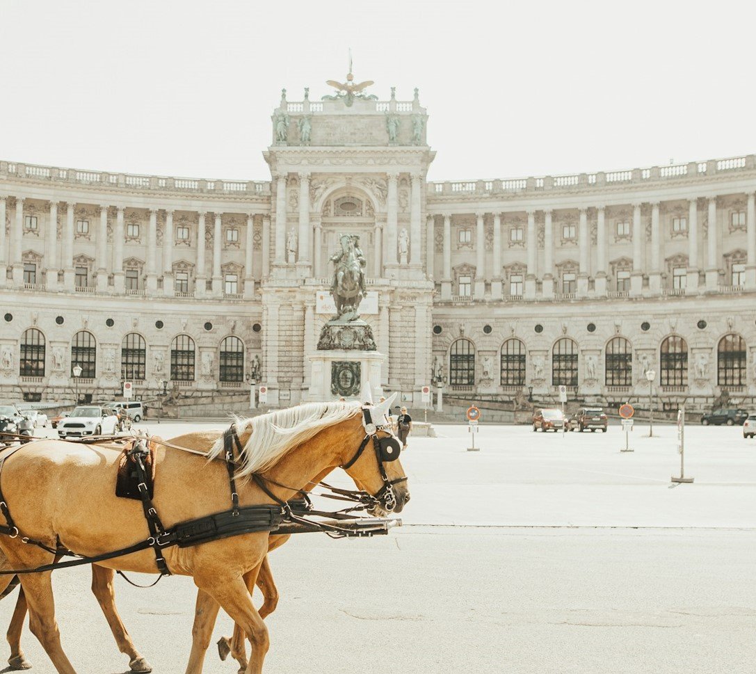 Vienna – imperial elegance, coffeehouse charm and a warm embrace of culture